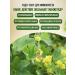 bee lab Cuff ordinary grass 40 g - Buy Online on GoSupps.com