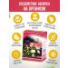 bee lab Sophora Fruits 2 pcs 50 grams - Buy Online on GoSupps.com
