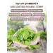 bee lab Stevia sheet 2 pcs 25 grams - Buy Online on GoSupps.com