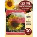 bee lab Sunflower root 30 g