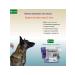 KRKA Selafort 12% 0.25 ml from fleas for dogs 2.6-5 kg 5pcs - Buy Online on GoSupps.com