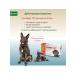 KRKA Sealess 12% 0.5 ml from fleas for dogs 5.1-10 kg 3pcs - Buy Online on GoSupps.com