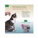 KRKA Sealess 6% of fleas for dogs and cats up to 2.5 kg 3pcs - Buy Online on GoSupps.com