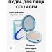COLLAGEN Facial Powder compact matting - Buy Online on GoSupps.com
