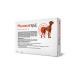 Neoterica Meloxygard for dogs 2 mg - Buy Online on GoSupps.com