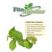PHYTOAPTHECARIAN Loschin sheet 100g - Buy Online on GoSupps.com