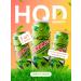 HQD Energy Energy Lime and Lemon 450ml 3 banks