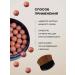FARRES Blush in balls with a brush tone 12 ash pink - Buy Online on GoSupps.com