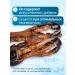 Payuta Deer leg for large breeds 4 pcs healthy delicious - Buy Online on GoSupps.com