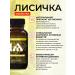 Hedgehog Fox chaga is birch natural trametes - Buy Online on GoSupps.com