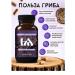 Hedgehog Fox chaga is birch natural trametes - Buy Online on GoSupps.com