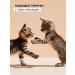 Pamilee Vitamin treat for cats with biotin - Buy Online on GoSupps.com