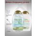 OGX Coconut water shampoo Coconut Curls 2x385ml air conditioning