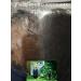 Greenleaf Eco Hair shampoo Zhengai - Buy Online on GoSupps.com