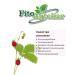 PHYTOAPTHECARIAN Strawberry sheet 250 g - Buy Online on GoSupps.com