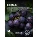 Manufactory House of Nature Sugar body scrub refreshing sangria - Buy Online on GoSupps.com