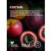 Manufactory House of Nature Nectarin and Marakuya sugar scrub - Buy Online on GoSupps.com