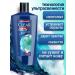 clear Male hair shampoo from dandruff with menthol 2pcs - Buy Online on GoSupps.com