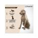 Neoterica Collar for large dogs from parasites 75 cm - Buy Online on GoSupps.com