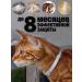 Neoterica Collar for cats from fleas and ticks 40 cm - Buy Online on GoSupps.com