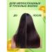 Garnier Women's hair shampoo with keratin Lamination and shine - Buy Online on GoSupps.com