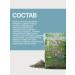 Gordeev Helminths (worms) and parasites -stop nh 100 g p p - Buy Online on GoSupps.com