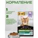 PRO PLAN Purina Sterilized food (turkey) 3 kg - Buy Online on GoSupps.com