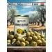 Fish&food Green olives without bones