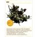STAROSLAV Field sowing (grass 50 gr.) - Buy Online on GoSupps.com