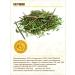 STAROSLAV Patricia (grass 50 gr.) - Buy Online on GoSupps.com