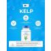 SNT Kelp 150MCG (90kap.) - Buy Online on GoSupps.com