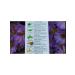 BORO PLUS Board Plus with the aroma of herbs (green) cream 50 g - Buy Online on GoSupps.com