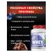 Biopharm-Iso Whey Protein 908g - Buy Online on GoSupps.com