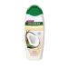 PALMOLIVE Women's hair shampoo 450ml 2B1 coconut - Buy Online on GoSupps.com