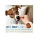 NEXAGARD Frontline 28 mg for dogs 4 - 10 kg 3 tablets - Buy Online on GoSupps.com