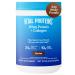 Vital Proteins Collagen Chocolate 647 g - Buy Online on GoSupps.com