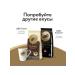 HomePeople LEBO EXTRA coffee in Arabica grains 1 kg - Buy Online on GoSupps.com