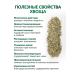 FOREST LINE Dried horsetail 2 to 100 grams - Buy Online on GoSupps.com