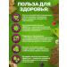 Taste of Azerbaijan Grape leaves for dolma - Buy Online on GoSupps.com