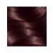 Garnier Hair dye Color Sensation tone 4.15 noble opal - Buy Online on GoSupps.com