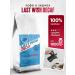 LAST WISH Coffee in grains without caffeine decap of 1 kg of arabica
