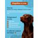 Dog feed with a turkey and a duck 850 g 6 pcs - Buy Online on GoSupps.com