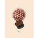 FARRES Blood blossom blush 02