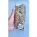 Crimean dried flowers Buzina Color 50 grams of Crimea 2025 - Buy Online on GoSupps.com
