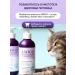 AMIGO Moisturizing shampoo for dogs and cats 300ml from smell - Buy Online on GoSupps.com