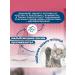 Elanco Milbemax tablets against cats more than 2kg - Buy Online on GoSupps.com