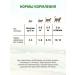 Mnyams Pillows for cats and kittens with beef paste 40 g 1pc - Buy Online on GoSupps.com