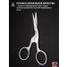 PAIE Safe scissors for mustaches beards and nose curved - Buy Online on GoSupps.com