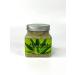 Dona2 Body scrub with aloe vera extract - Buy Online on GoSupps.com