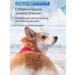 Eye drops for cats and dogs with conjunctivitis 180 ml - Buy Online on GoSupps.com